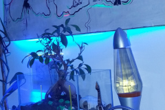 20231216_055357