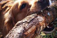 IMG_20231220_023801_570