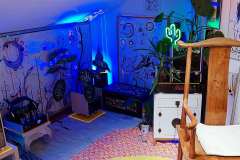 IMG_20240415_204710_087