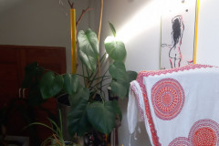 IMG-20211002-WA0114