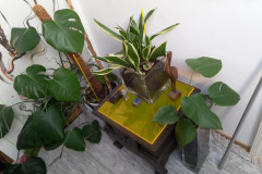IMG-20211002-WA0154