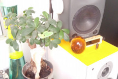 IMG-20211002-WA0172