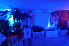 IMG-20210627-WA0007