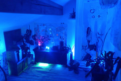 IMG-20210627-WA0019