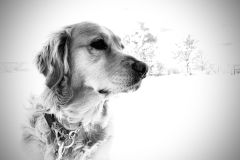 IMG-20231206-WA0003