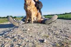 IMG-20250512-WA0021