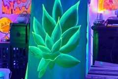 IMG-20250810-WA0030