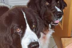 IMG_20240731_153235_779