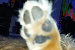 IMG_20240830_025144_544